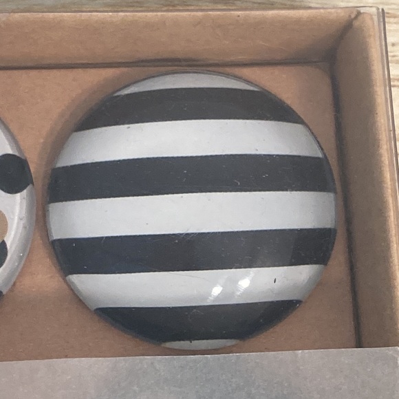 Papyrus glass dome 6 magnets fashion be beautiful New - Picture 4 of 15